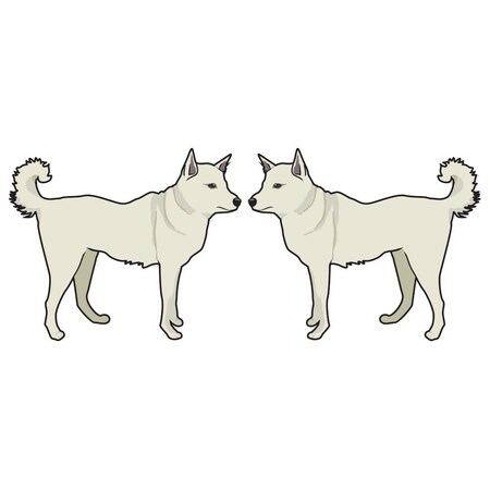 Signmission Canaan Dog Dog Decal, Dog Lover Decor Vinyl Sticker D-18-Canaan Dog